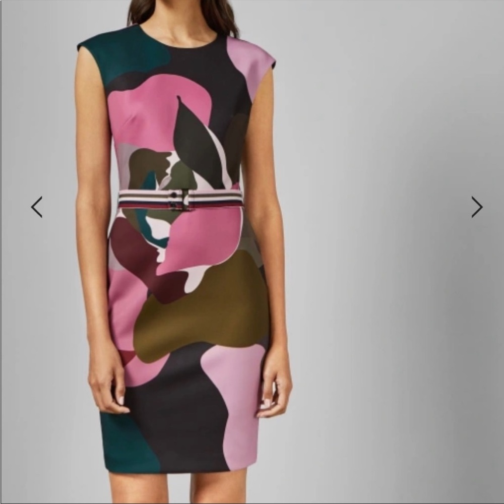 Ted Baker London Pink, Olive & Black Abstract Midi Dress